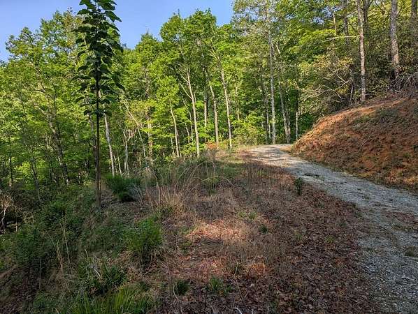 0.75 Acres of Residential Land for Sale in Cowee Township, North Carolina