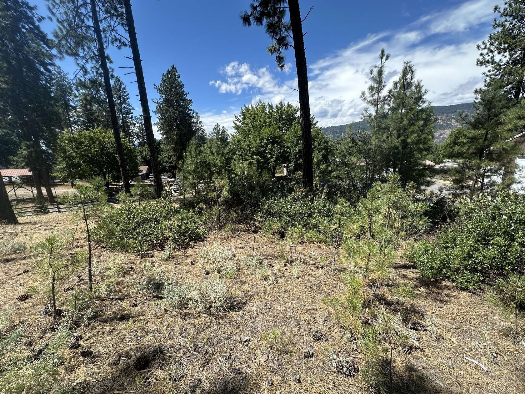 0.82 Acres of Land for Sale in Kettle Falls, Washington