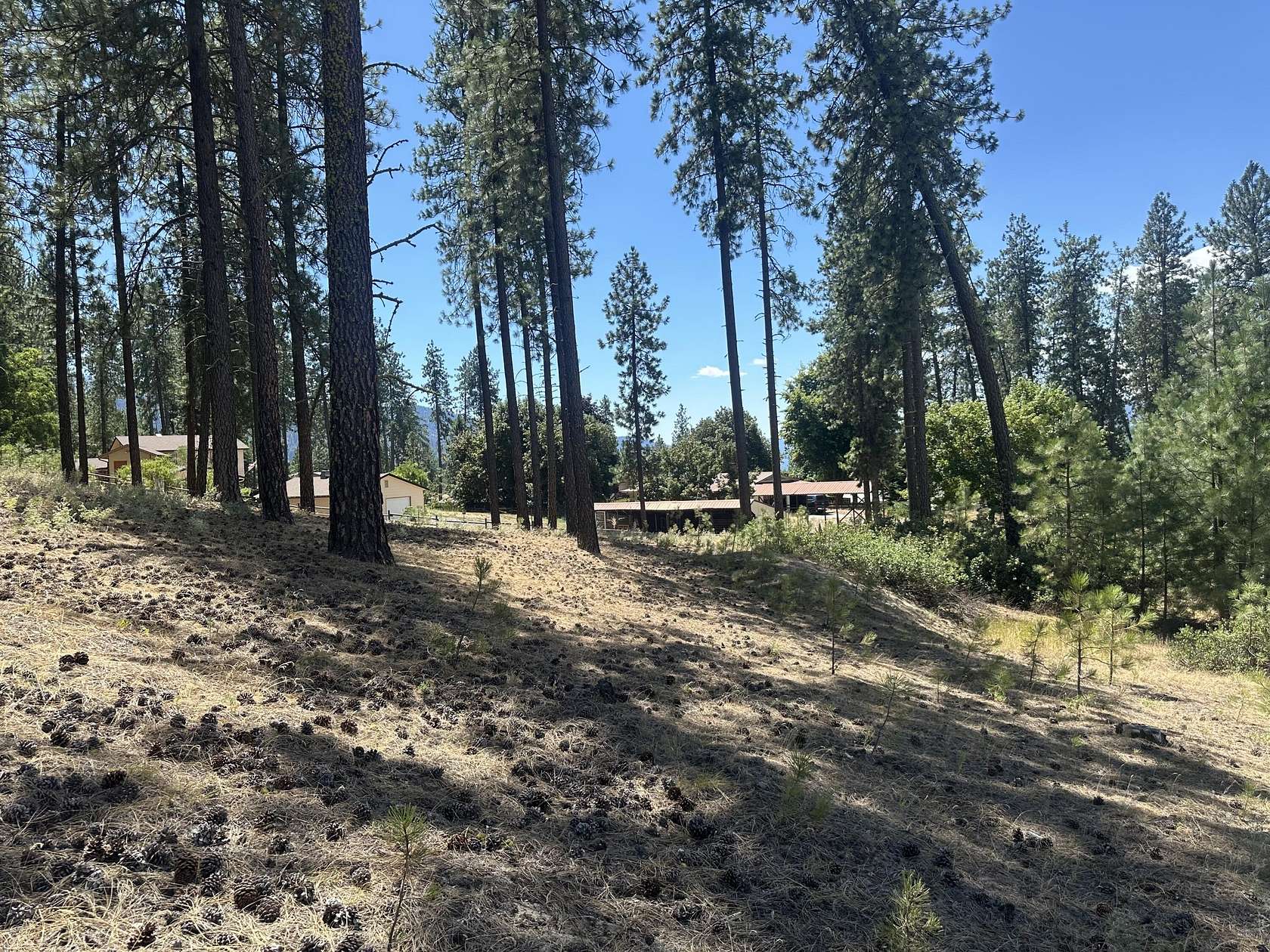 0.82 Acres of Land for Sale in Kettle Falls, Washington