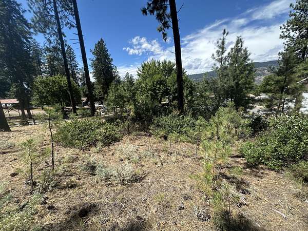 0.82 Acres of Land for Sale in Kettle Falls, Washington