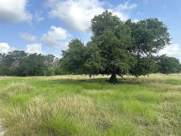 43.8 Acres of Recreational & Residential Land for Sale in La Grange, Texas