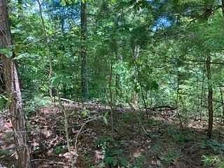 1.33 Acres of Residential Land for Sale in Ranger, Georgia