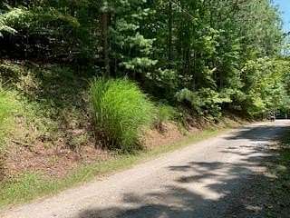 2 Acres of Residential Land for Sale in Ranger, Georgia