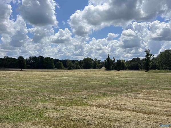 42 Acres of Recreational Land & Farm for Sale in Moulton, Alabama