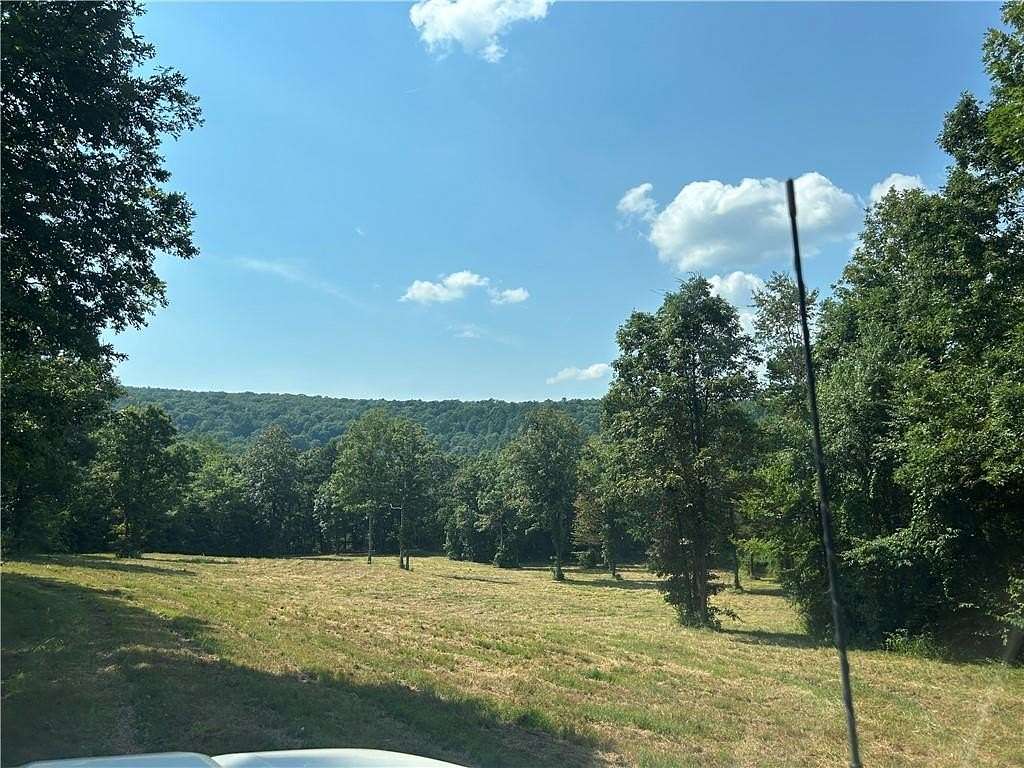 80.9 Acres of Recreational Land for Sale in Ozone, Arkansas