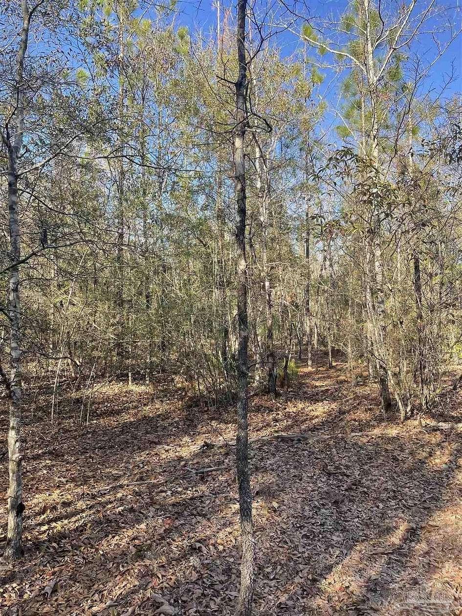 13.9 Acres of Land for Sale in Milton, Florida