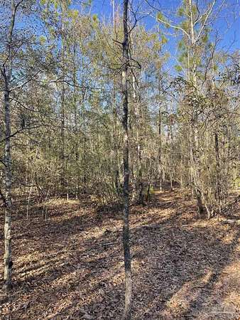 13.9 Acres of Land for Sale in Milton, Florida
