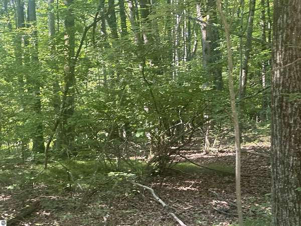 1.28 Acres of Residential Land for Sale in Farwell, Michigan