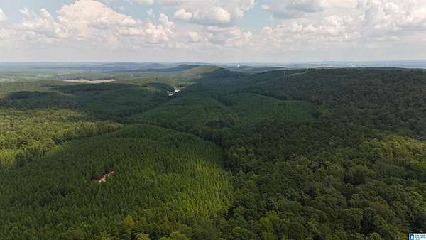 34.3 Acres of Land for Sale in McCalla, Alabama