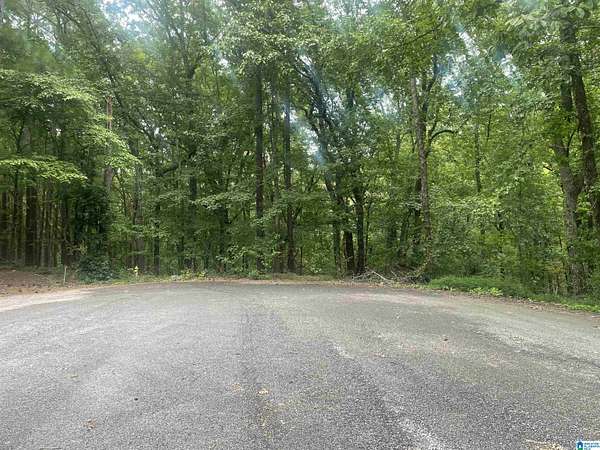 34.3 Acres of Land for Sale in McCalla, Alabama