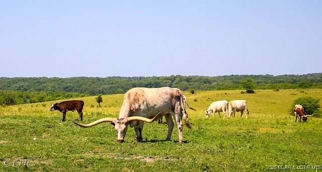 217 Acres of Land for Sale in Iberia, Missouri