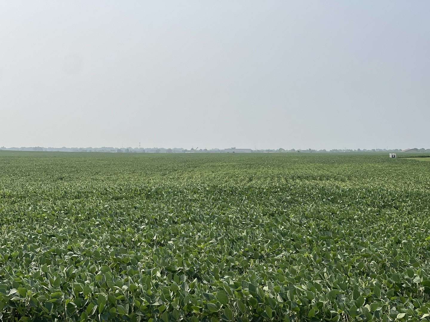 22 Acres of Agricultural Land for Sale in Manhattan, Illinois