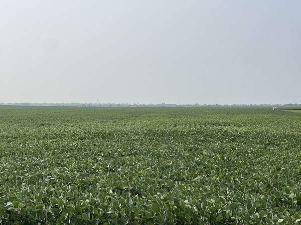 22 Acres of Agricultural Land for Sale in Manhattan, Illinois