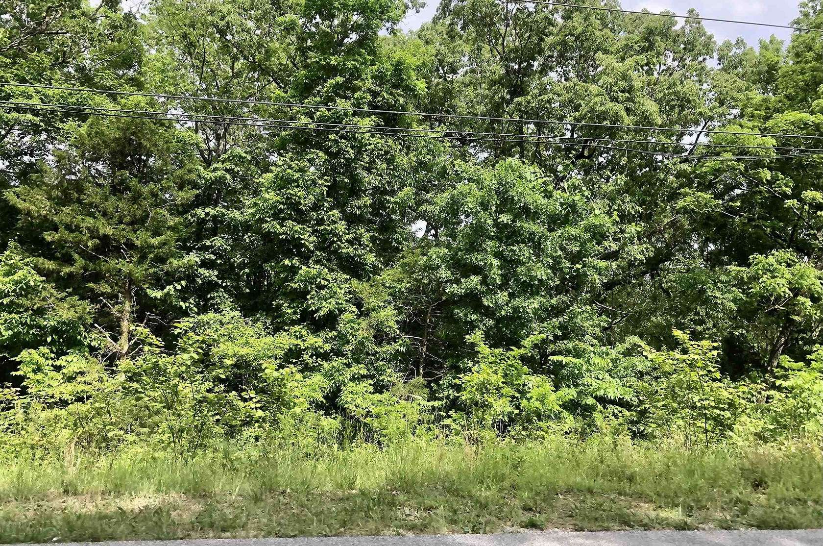 0.59 Acres of Residential Land for Sale in Cherokee Village, Arkansas