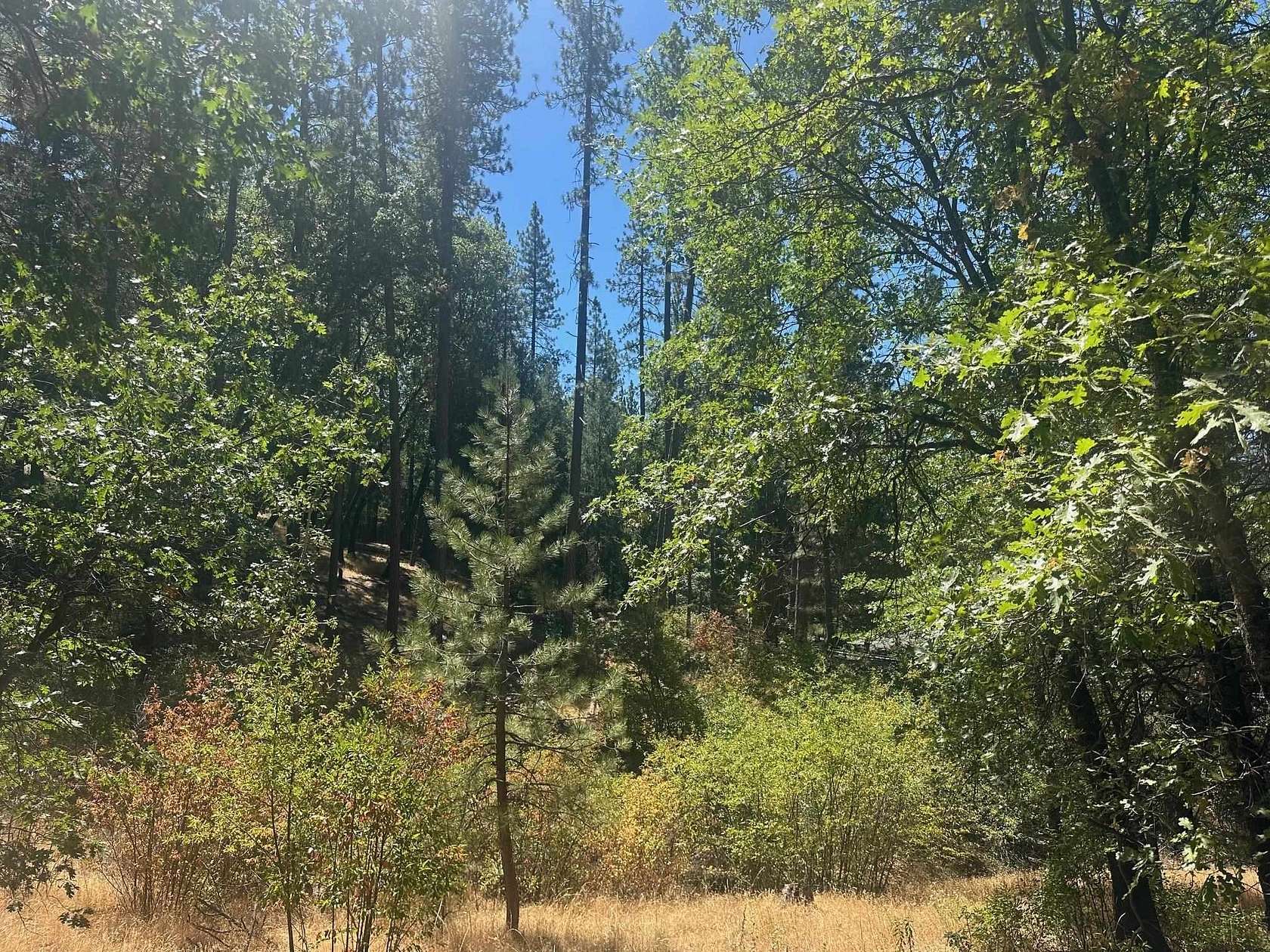 1.1 Acres of Land for Sale in Quincy, California