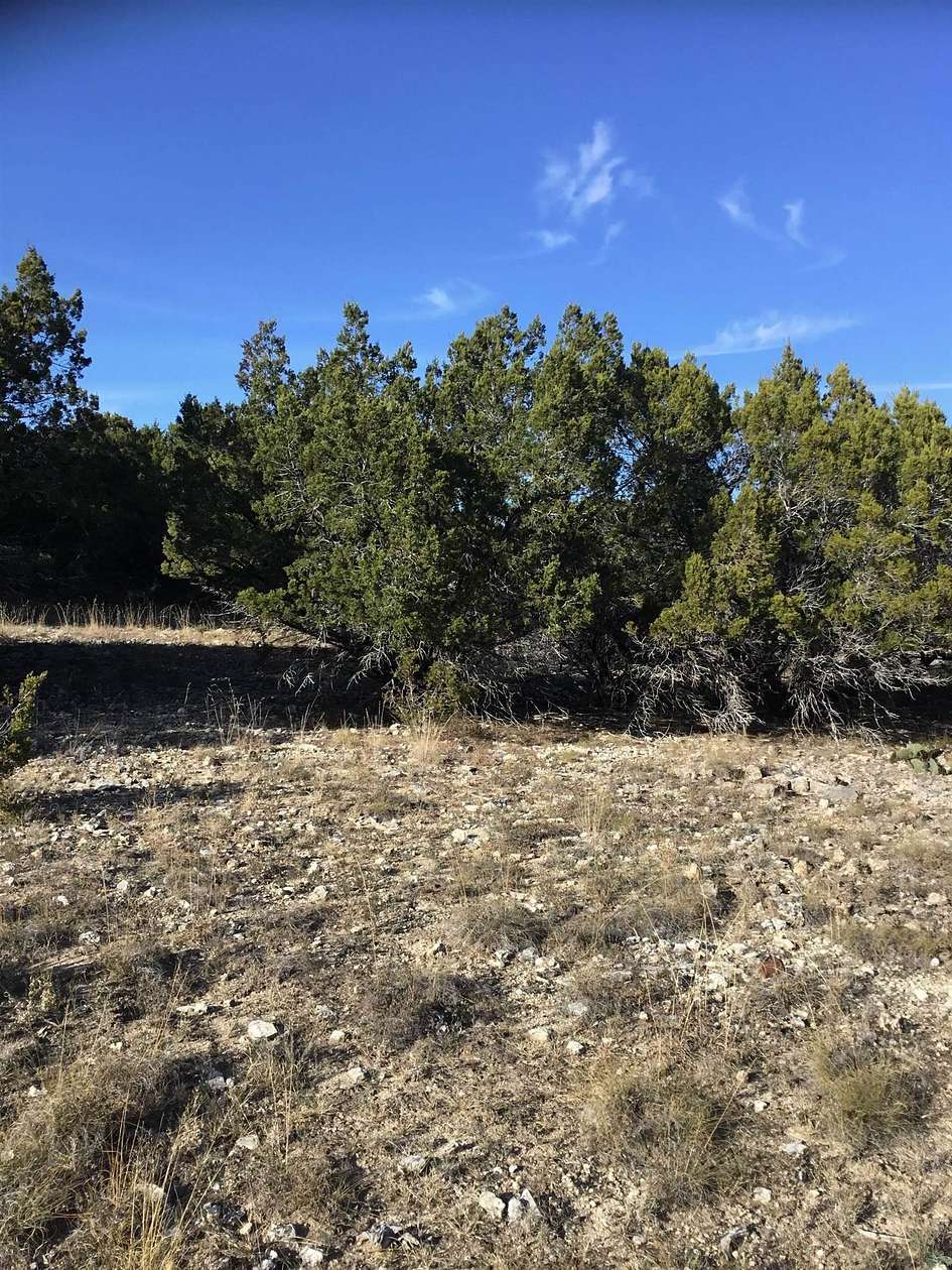 0.28 Acres of Residential Land for Sale in Lago Vista, Texas