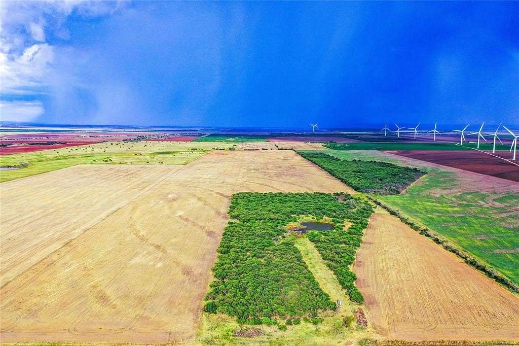 160 Acres of Agricultural Land for Sale in Weinert, Texas