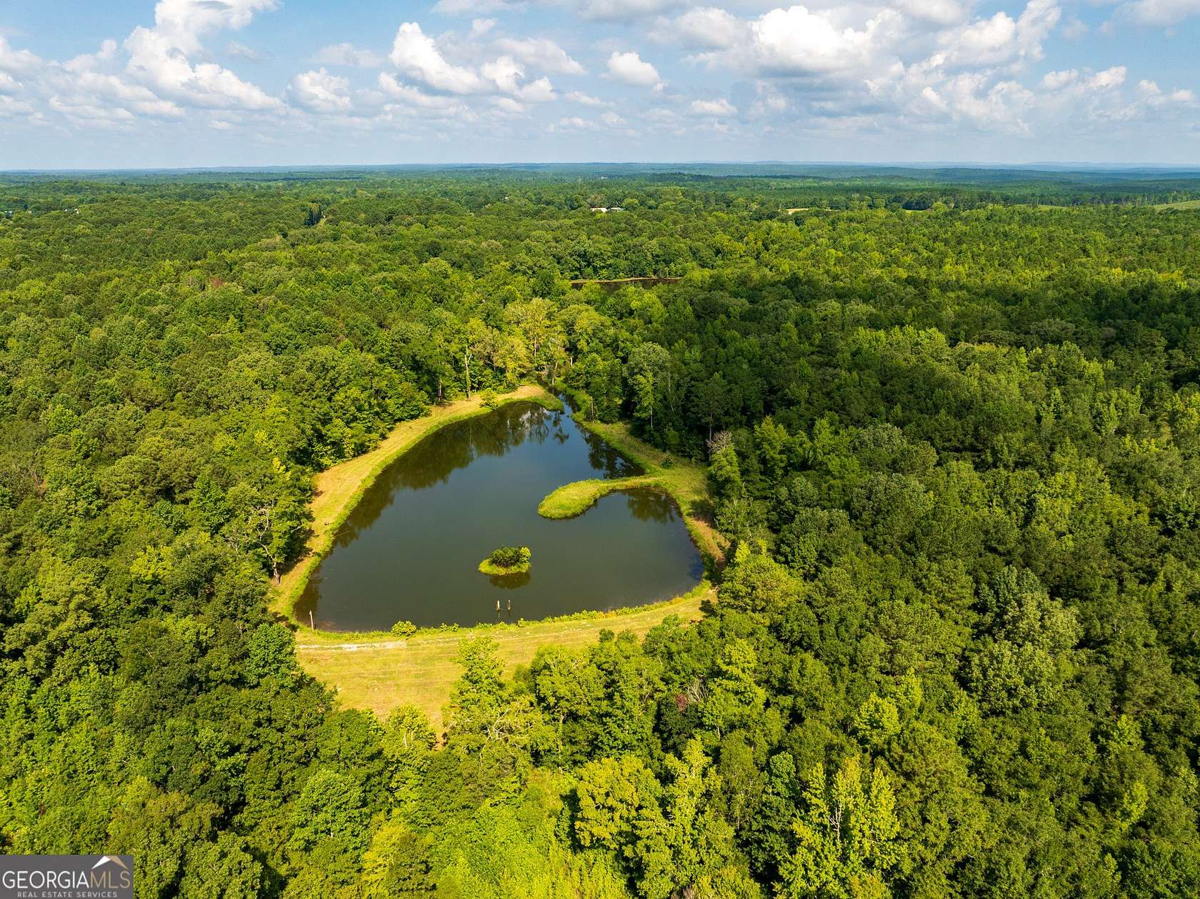 110 Acres of Recreational Land for Sale in Butler, Georgia