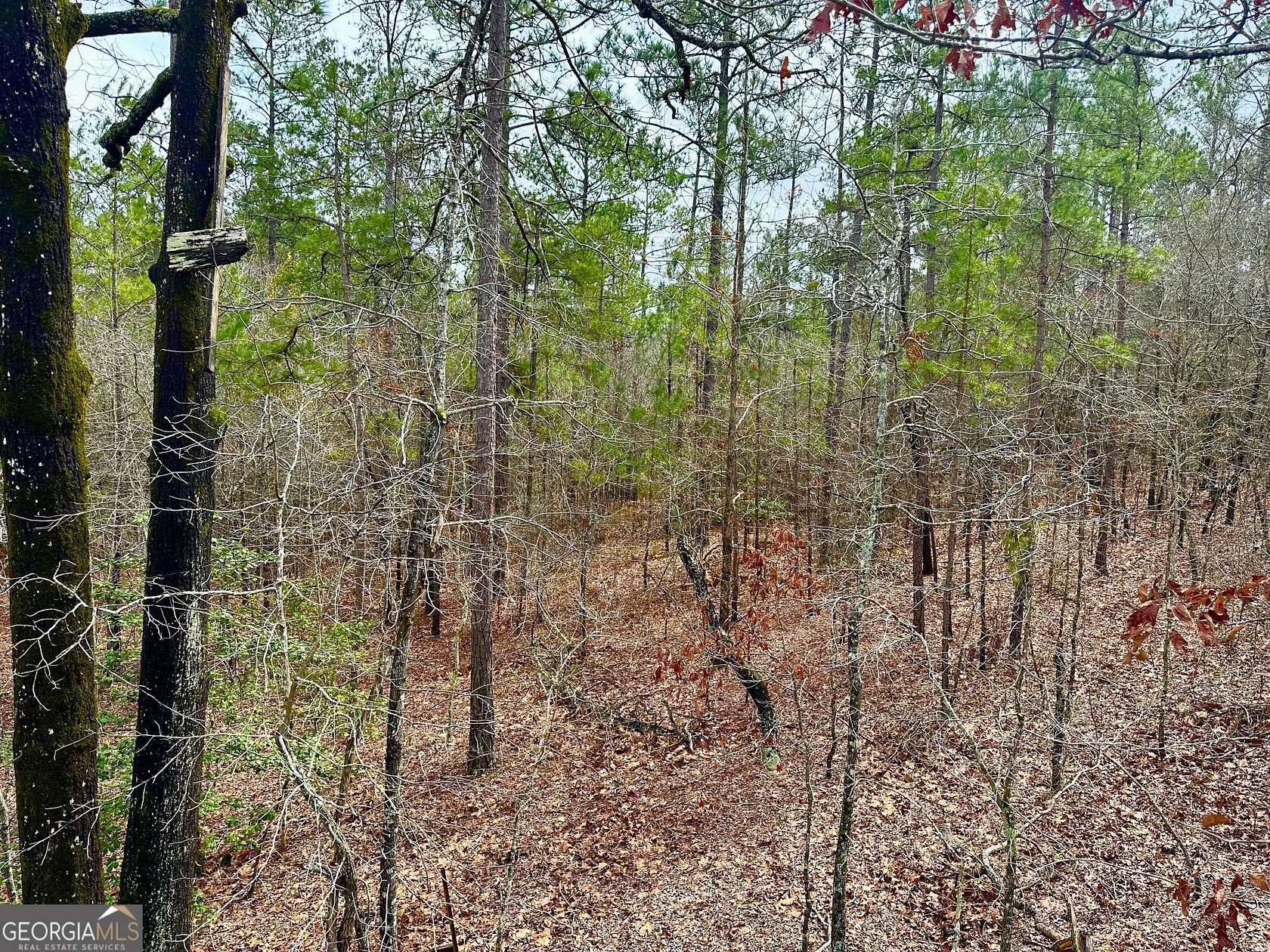 110 Acres of Recreational Land for Sale in Butler, Georgia