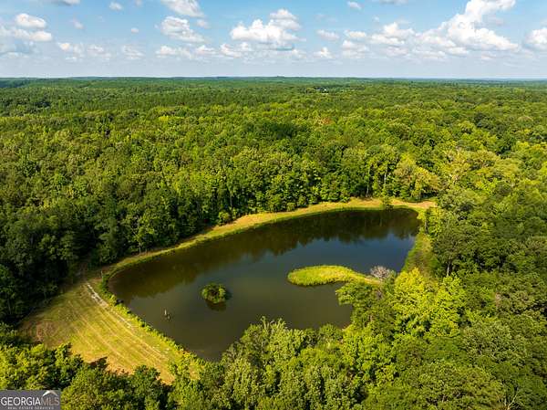 110 Acres of Land for Sale in Butler, Georgia