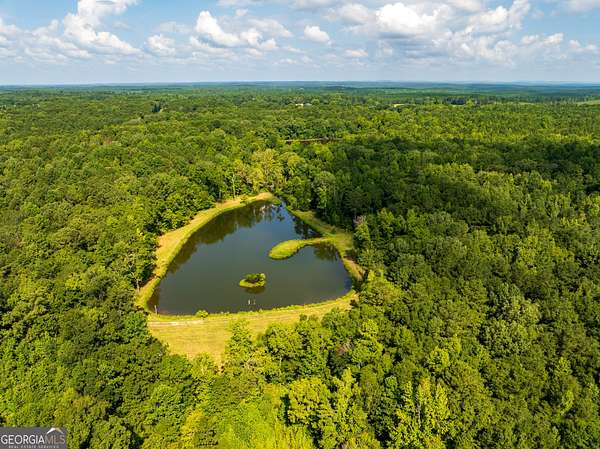 110 Acres of Recreational Land for Sale in Butler, Georgia