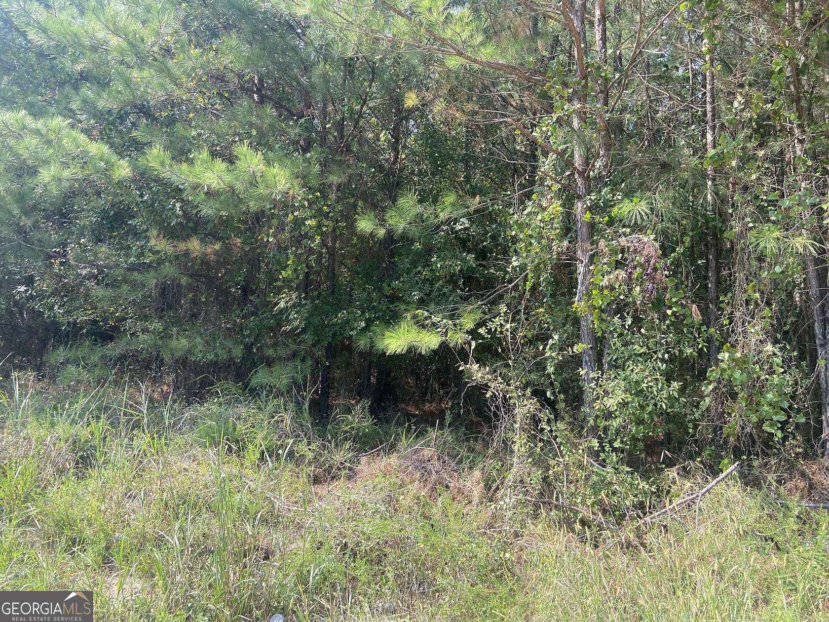 10 Acres of Residential Land for Sale in Crawfordville, Georgia