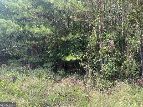 10 Acres of Residential Land for Sale in Crawfordville, Georgia