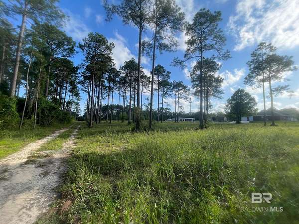 2.88 Acres of Residential Land for Sale in Lillian, Alabama