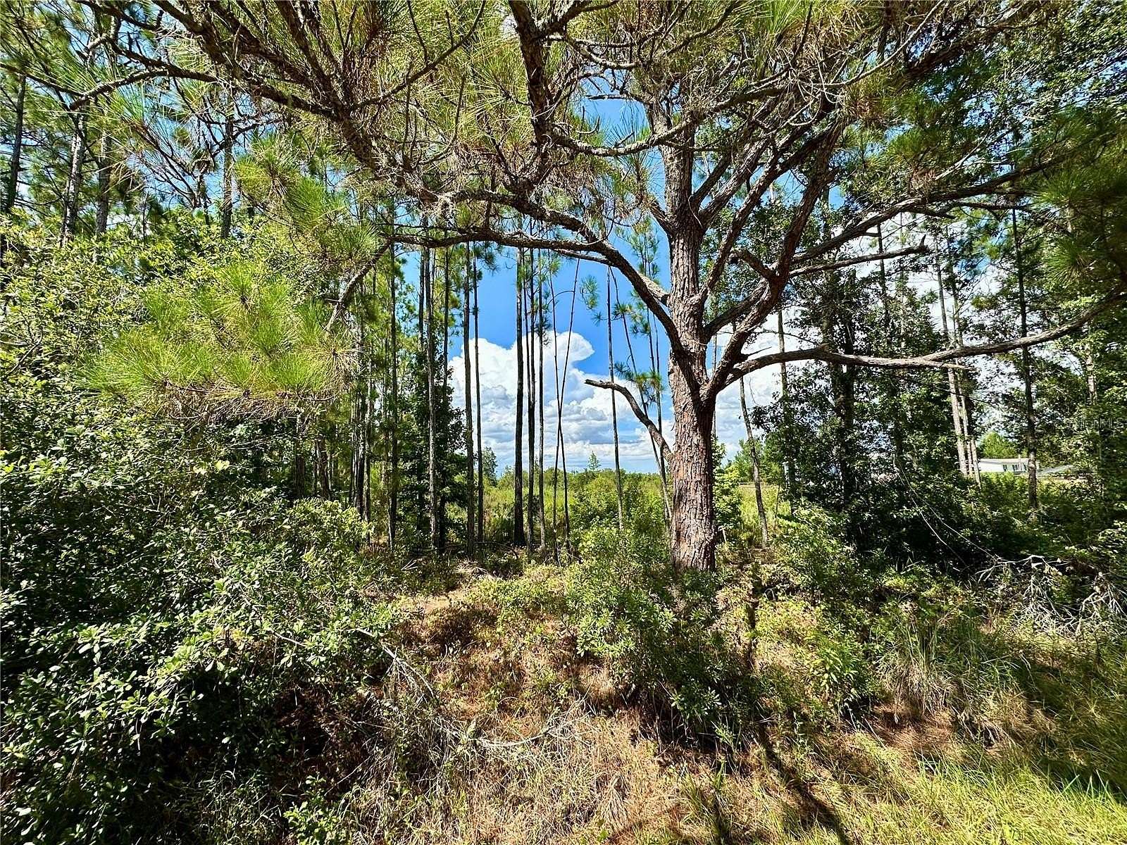 1.25 Acres of Land for Sale in Clermont, Florida