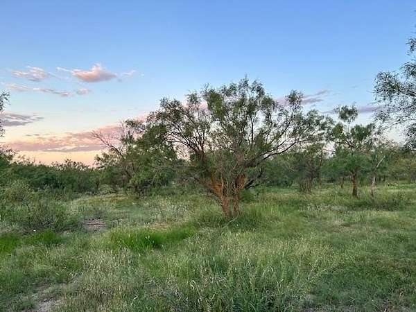 52 Acres of Land for Sale in Eldorado, Texas