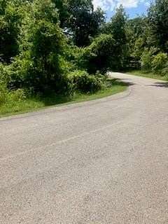 0.3 Acres of Residential Land for Sale in Gun Barrel City, Texas