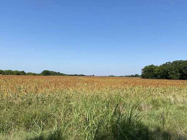 37 Acres of Agricultural Land for Sale in Deport, Texas