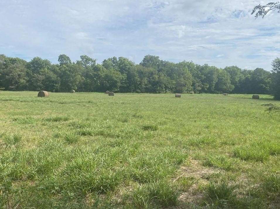 16 Acres of Land for Sale in Deport, Texas