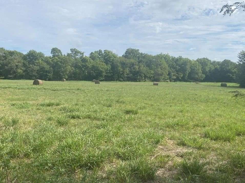 16 Acres of Agricultural Land for Sale in Deport, Texas