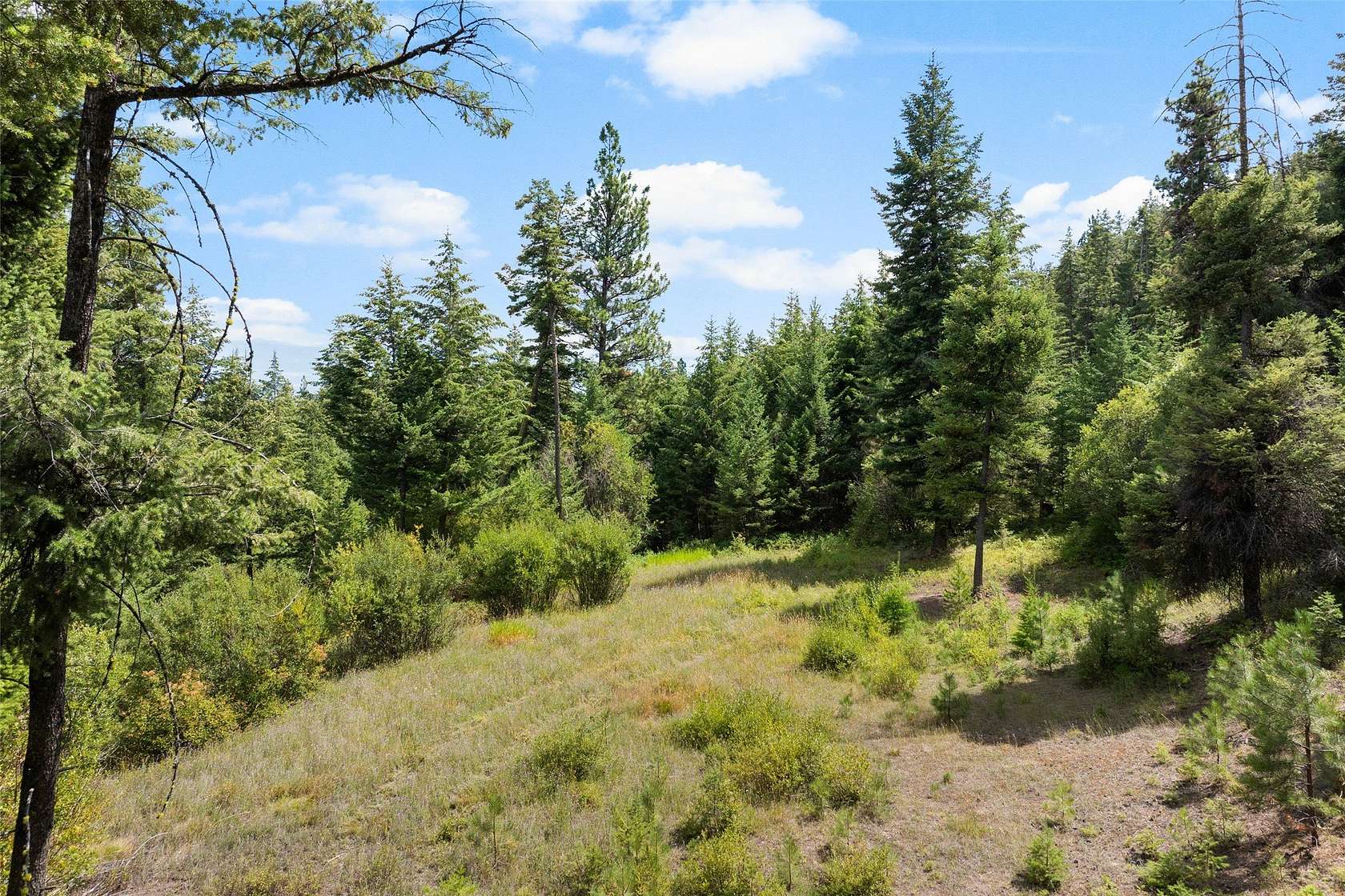 20.2 Acres of Recreational Land for Sale in Victor, Montana