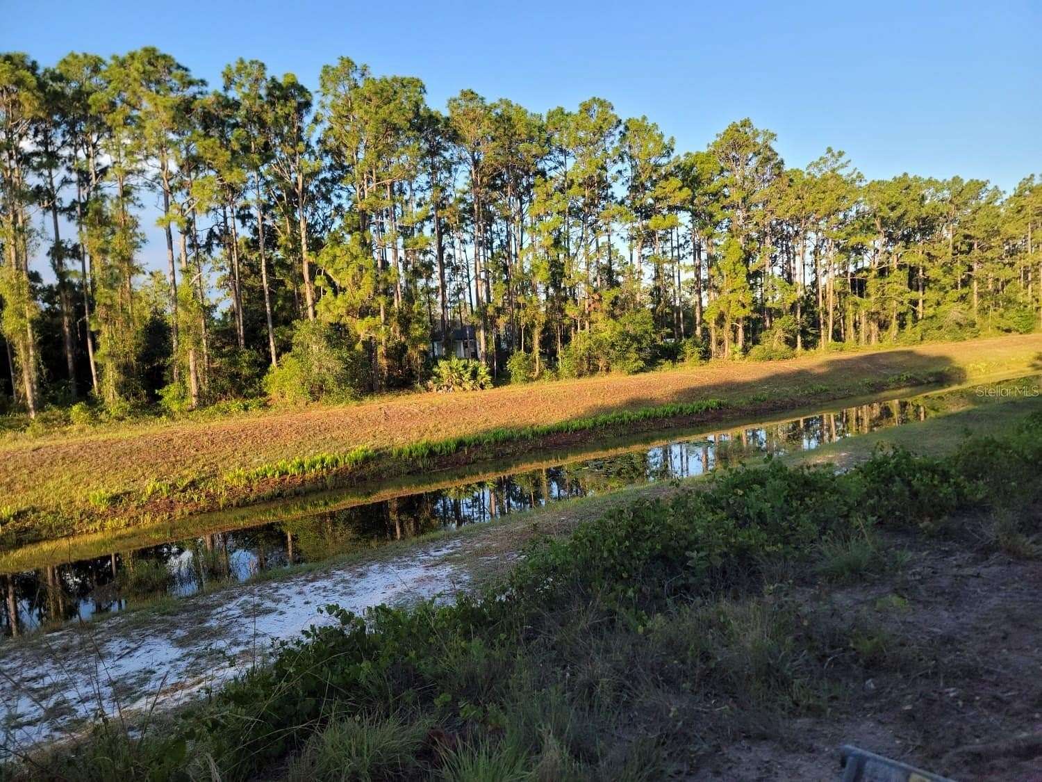 1.44 Acres of Residential Land for Sale in Orlando, Florida
