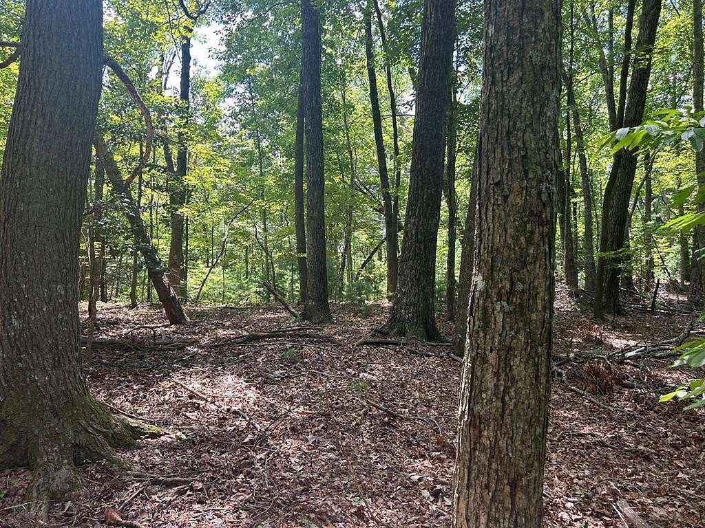 22.5 Acres of Land for Sale in Blue Ridge, Georgia