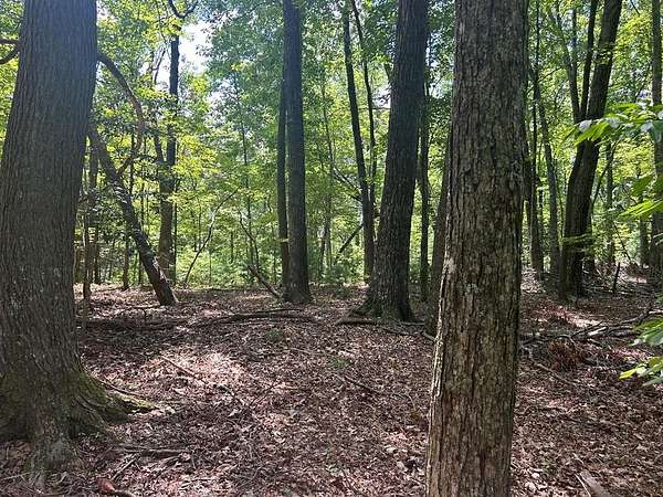 22.5 Acres of Land for Sale in Blue Ridge, Georgia