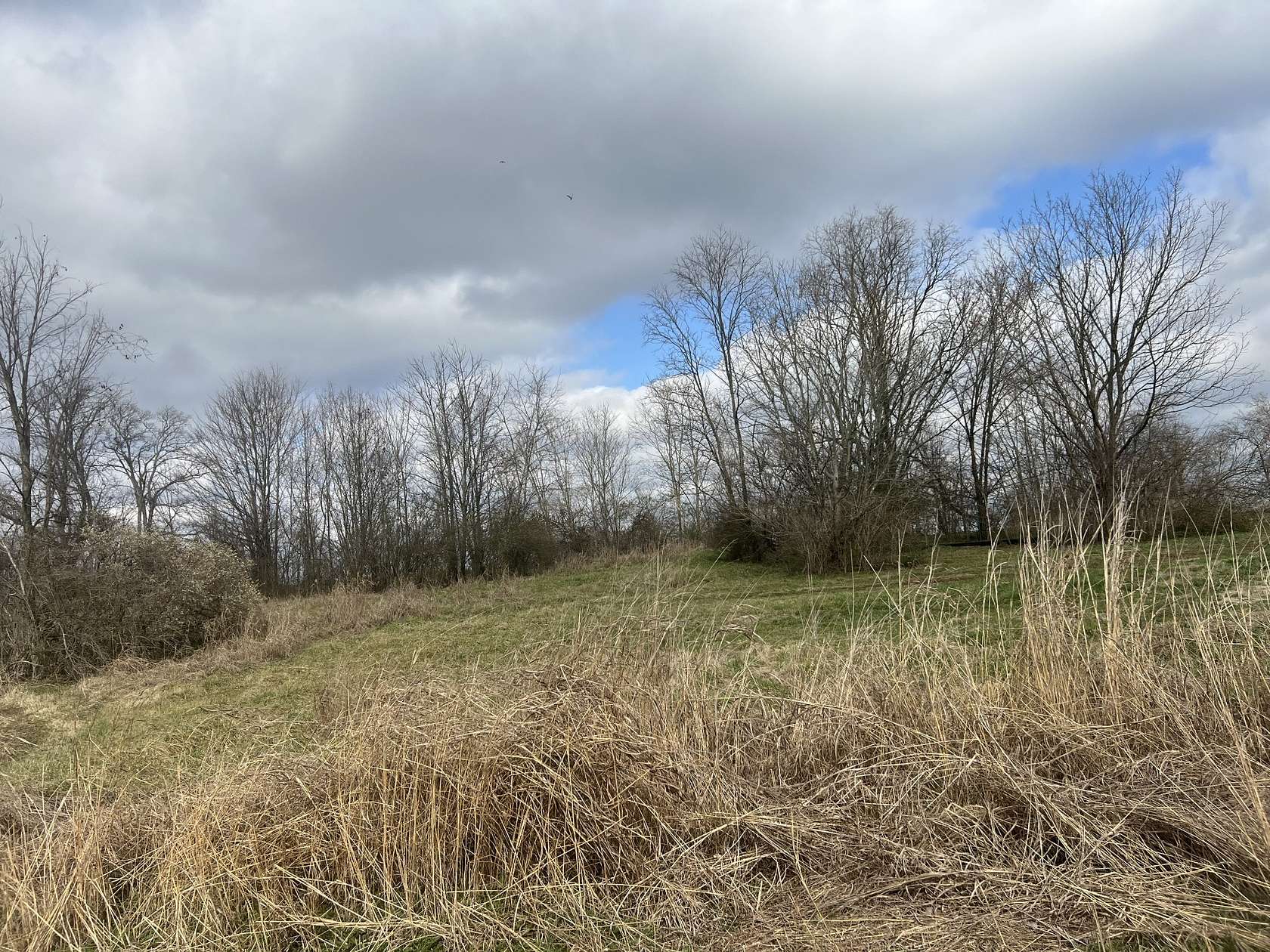 2.26 Acres of Residential Land for Sale in Mount Pleasant, Tennessee