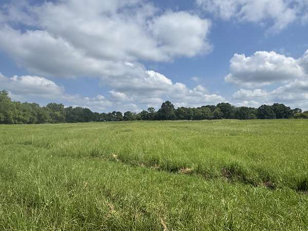 33.3 Acres of Land for Sale in Lebanon, Tennessee