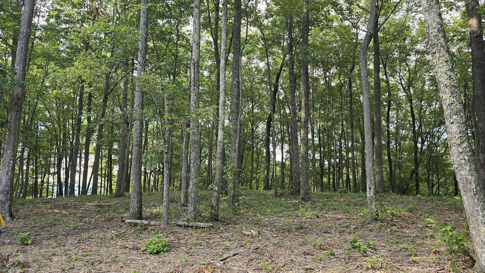 3 Acres of Residential Land for Sale in Spencer, Tennessee