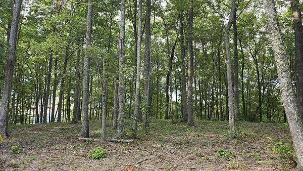 3 Acres of Residential Land for Sale in Spencer, Tennessee