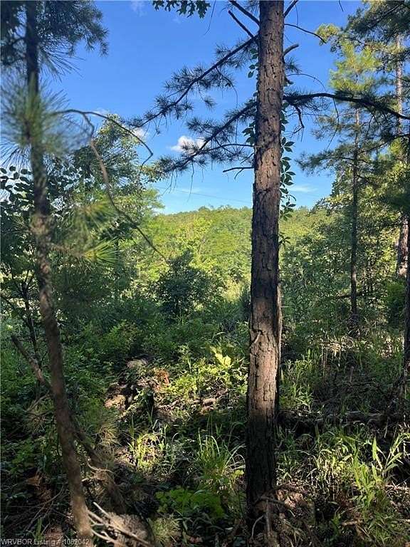 12.5 Acres of Recreational & Residential Land for Sale in Red Oak, Oklahoma