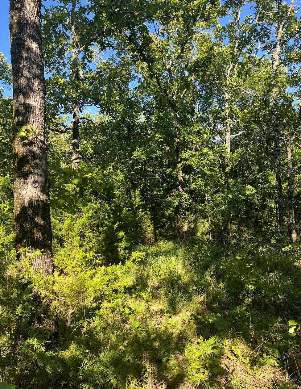 Residential Land for Sale in Red Oak, Oklahoma