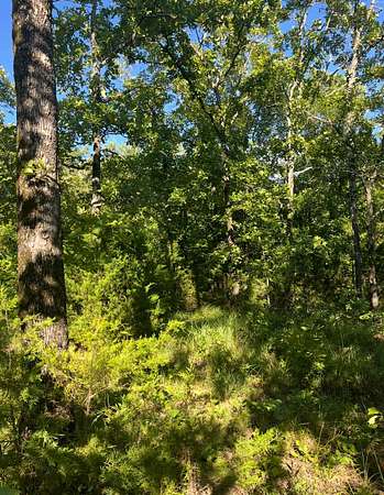 Residential Land for Sale in Red Oak, Oklahoma