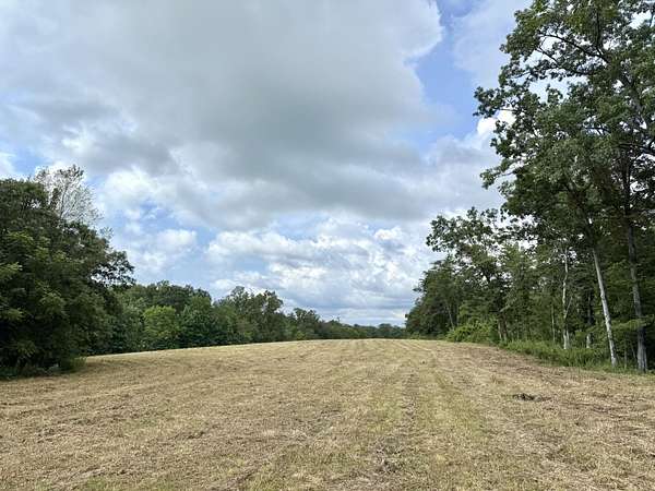 23.8 Acres of Agricultural Land for Sale in Pikeville, Tennessee