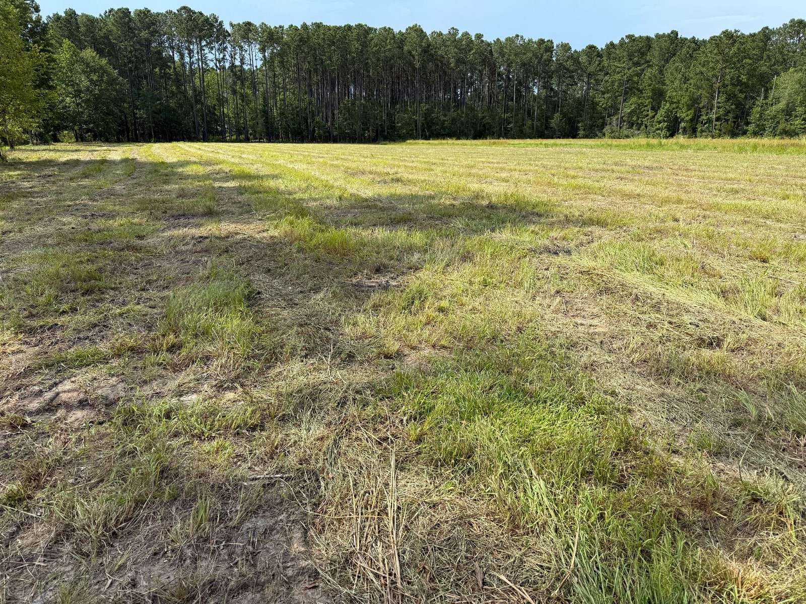 2.49 Acres of Land for Sale in Ridgeland, South Carolina