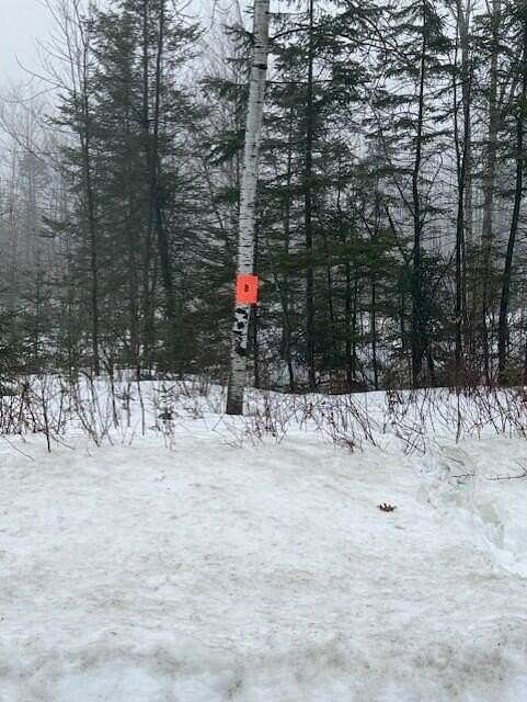 9.8 Acres of Residential Land for Sale in Castle Hill Town, Maine