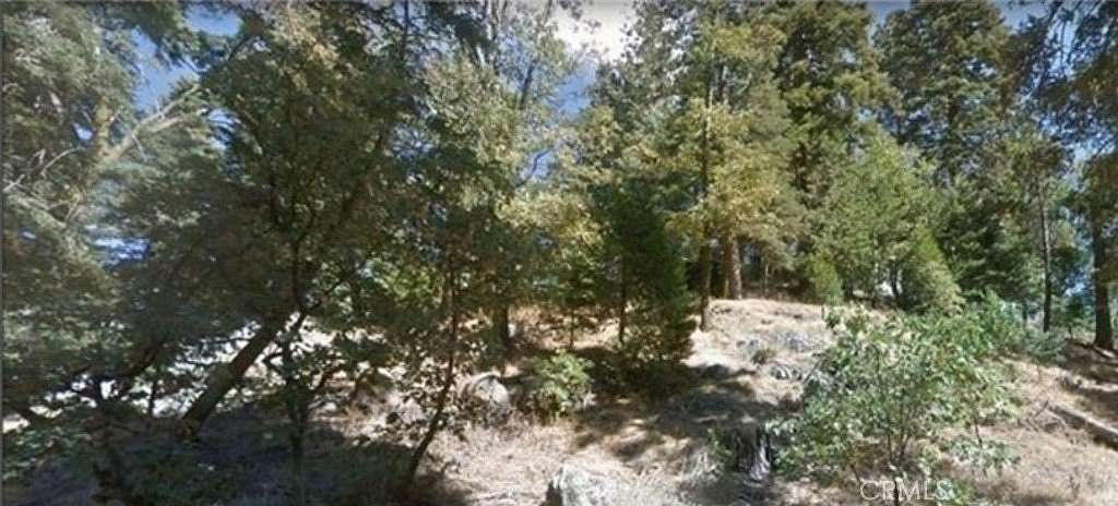0.07 Acres of Land for Sale in Cedarpines Park, California