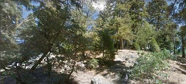 0.07 Acres of Land for Sale in Cedarpines Park, California